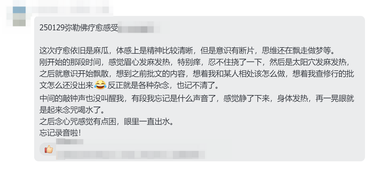 图片[13]-2025大年初一弥勒佛专场梵音睡眠反馈-天善缘