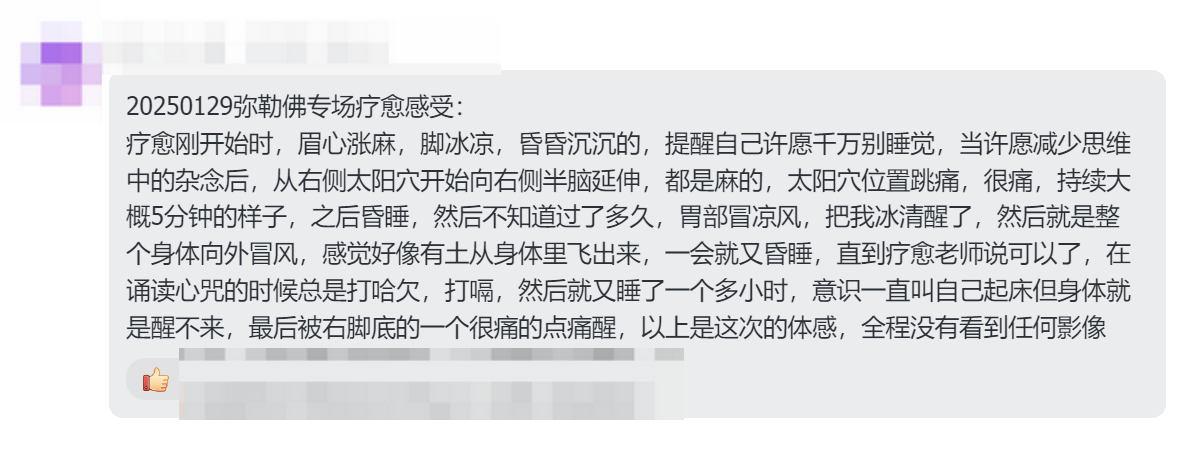 图片[17]-2025大年初一弥勒佛专场梵音睡眠反馈-天善缘