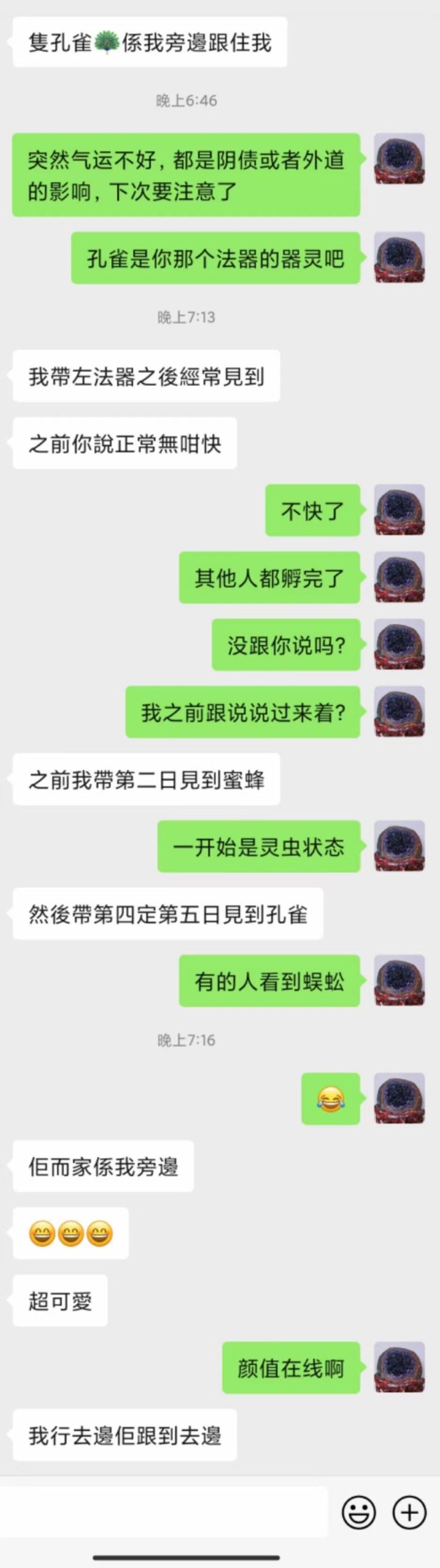 图片[19]-VIP服务反馈-天善缘