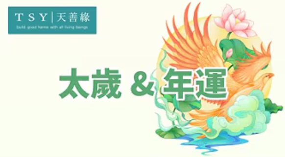 世中仙海外故事会A33 太岁和年运卦-天善缘