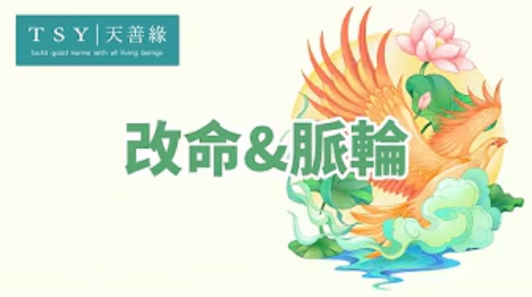 世中仙海外故事会A48 改命3：脉轮-天善缘